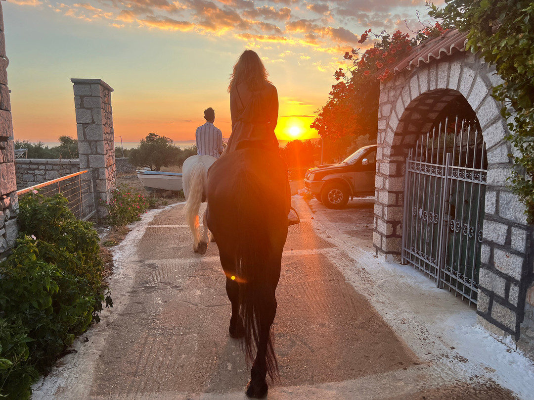 Mani Horses景点图片