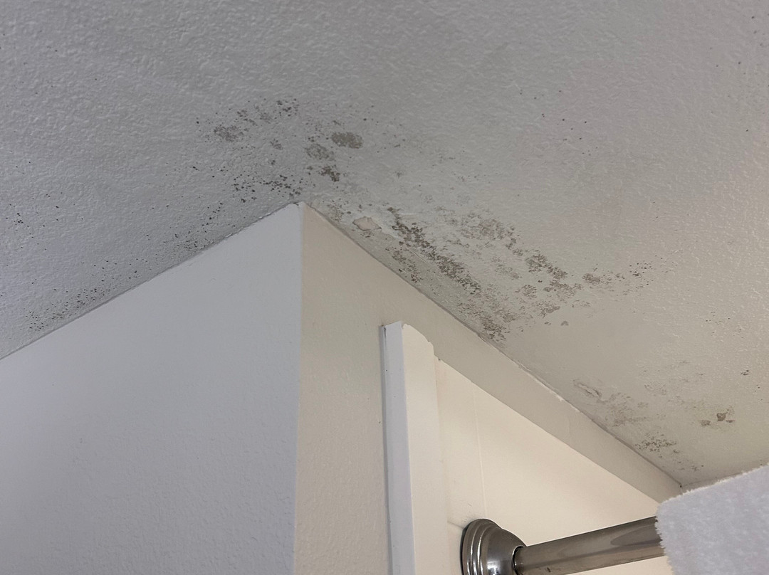 Holiday Inn Express & Suites Gulf Shores By IHG主图