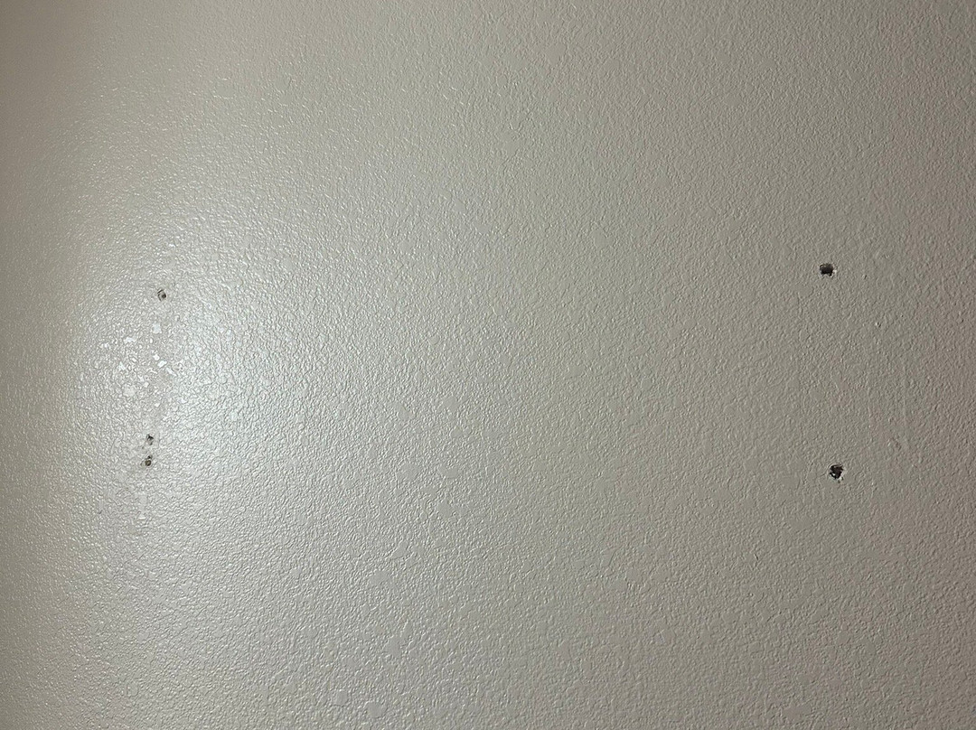 Super 8 by Wyndham Florence OR主图