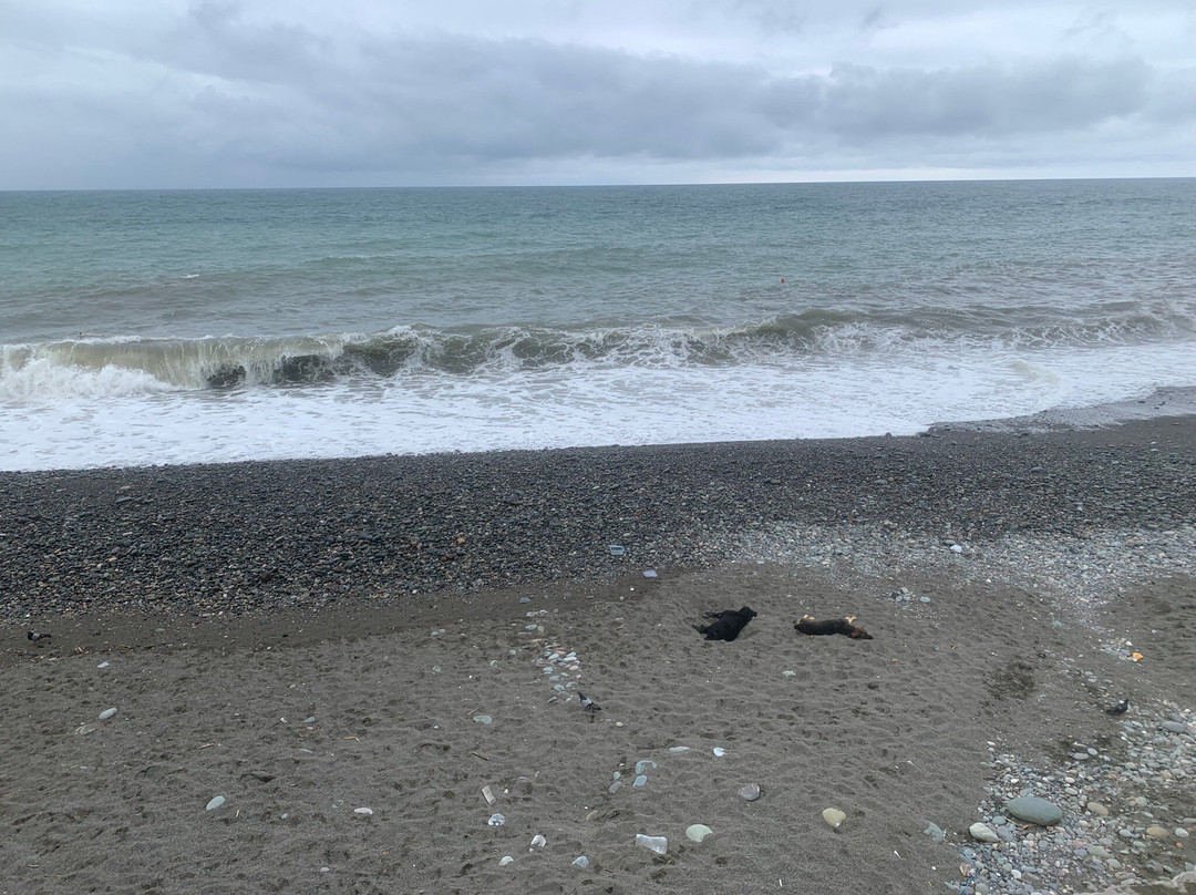 Kobuleti Beach-Kobuleti必去景点