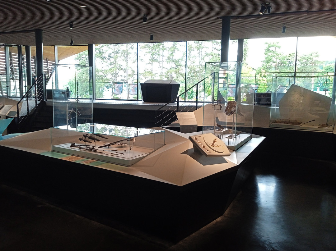 MALP - Musée archéologique du Lac de Paladru-Paladru必去景点