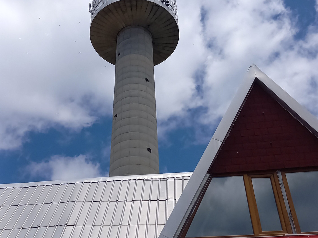 Apart Hotel Kamelia主图