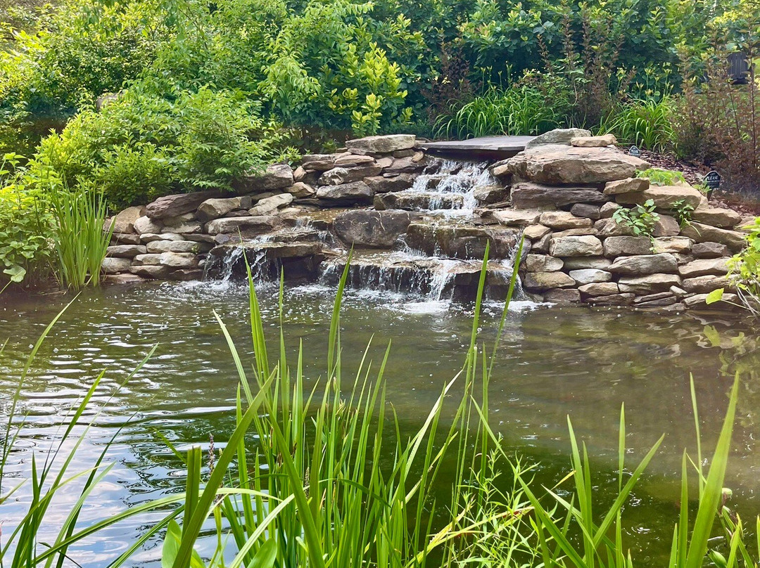 F.A. Seiberling Nature Realm-阿克伦必去景点