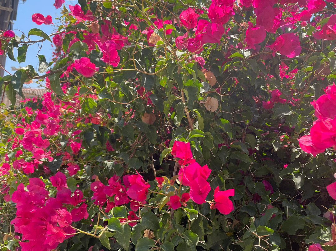 Bavarian Horse Riding Stables-萨米必去景点