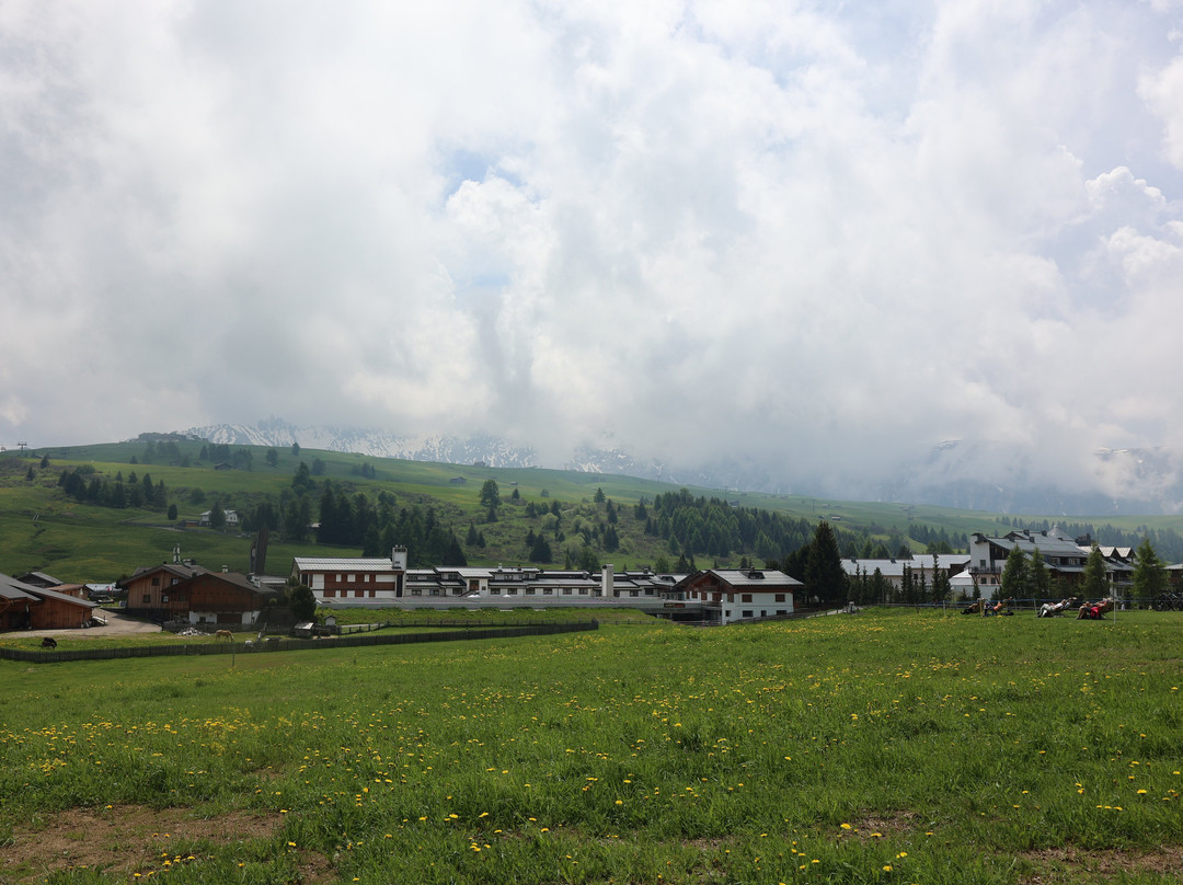 Alpe di Siusi - Seiser Alm Bahn景点图片