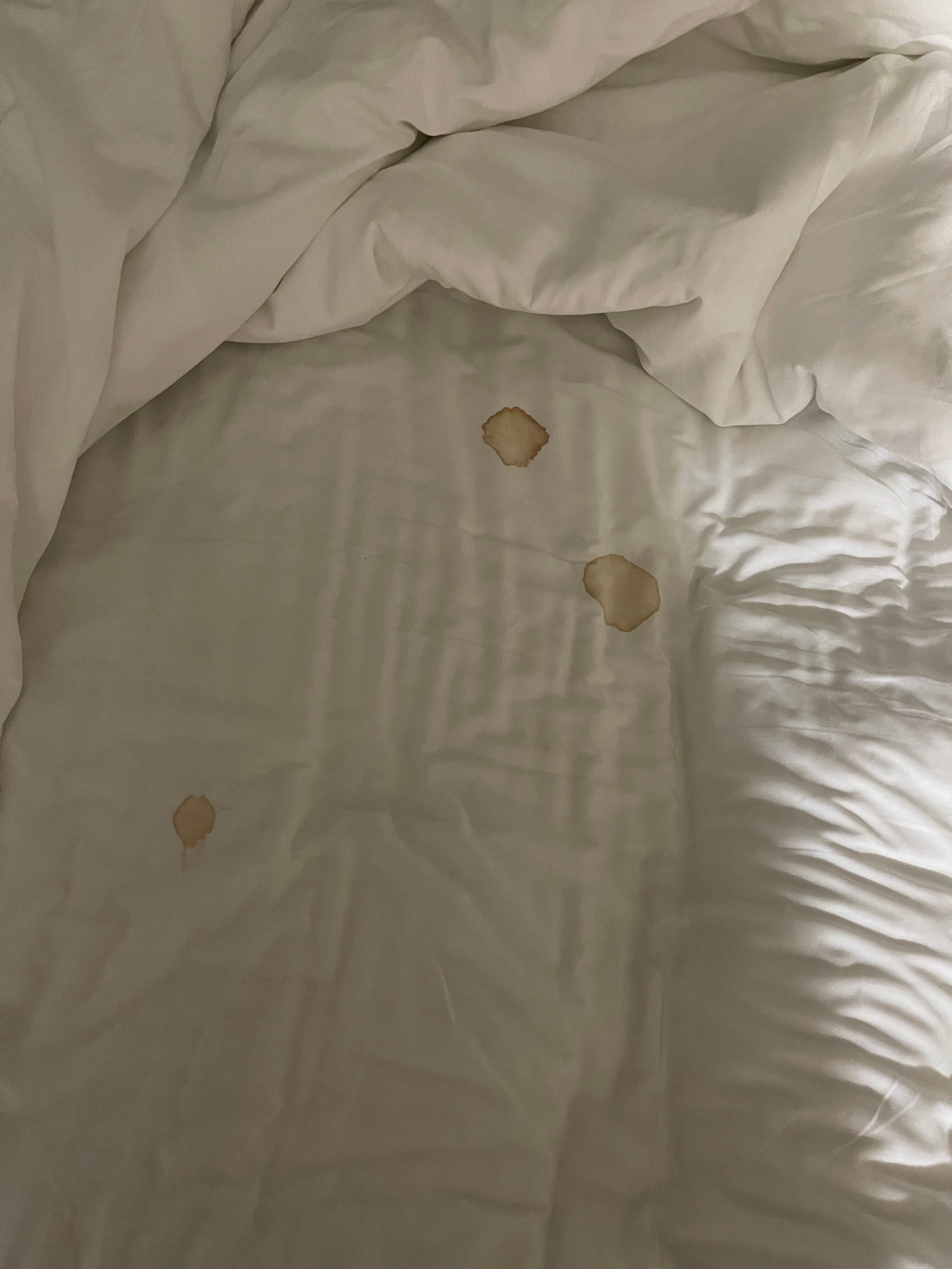 Candlewood Suites Sumter, an IHG hotel-客卧
