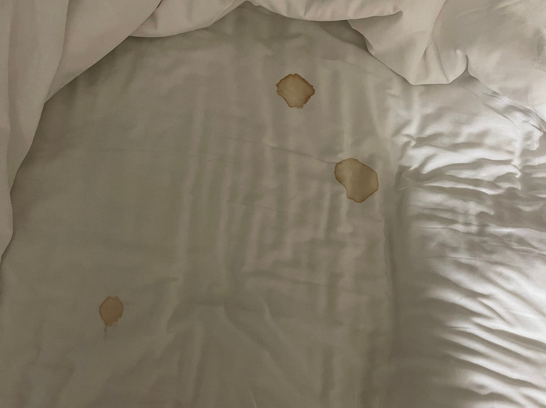 Candlewood Suites Sumter by IHG主图