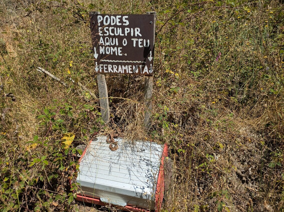 Bosque dos Avós景点图片