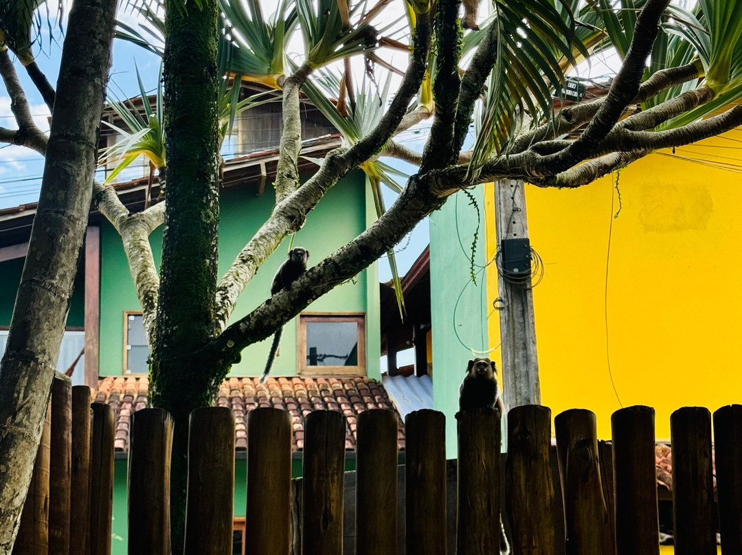 Pousada Vila dos Passaros主图