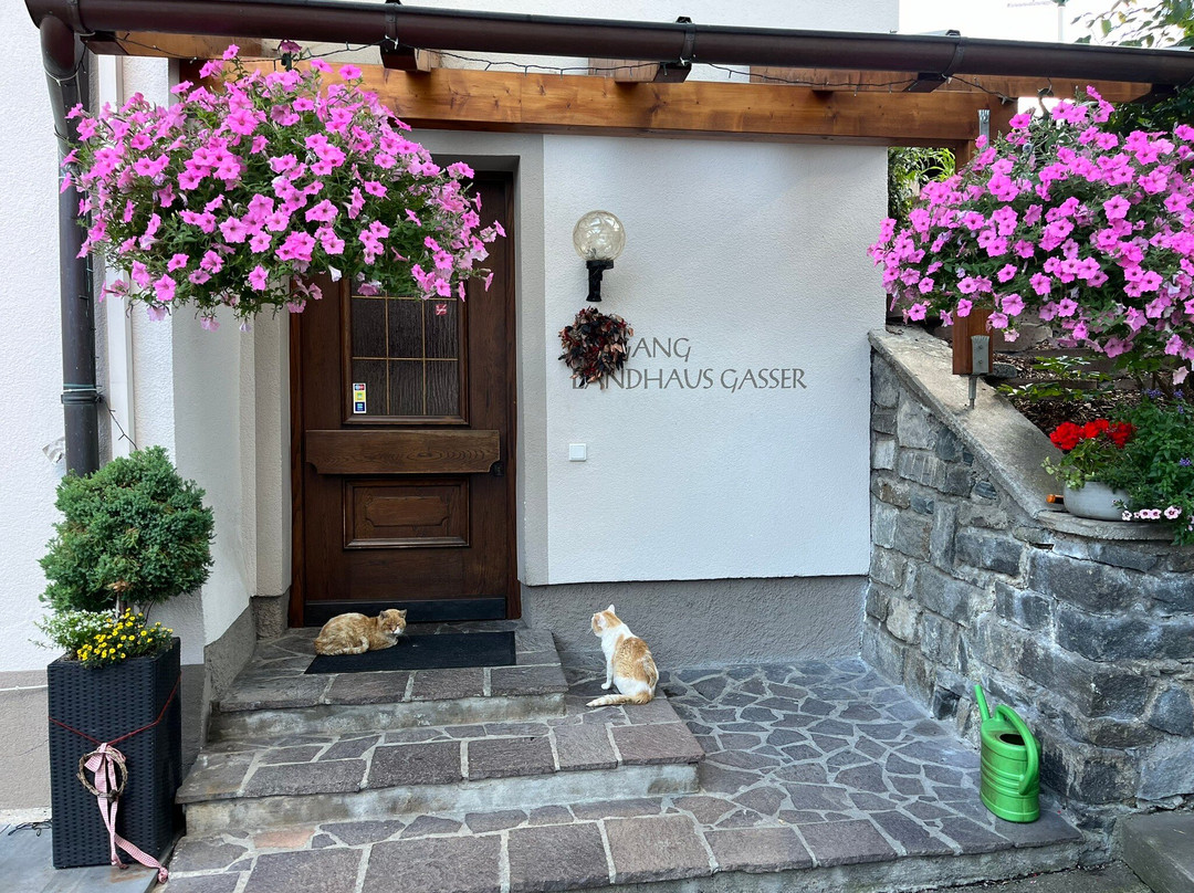 Landhaus Gasser主图