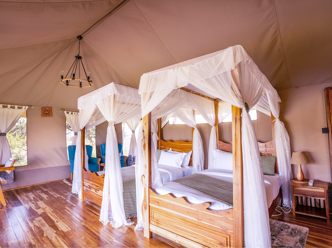 Malaika Seronera Luxury Camp主图