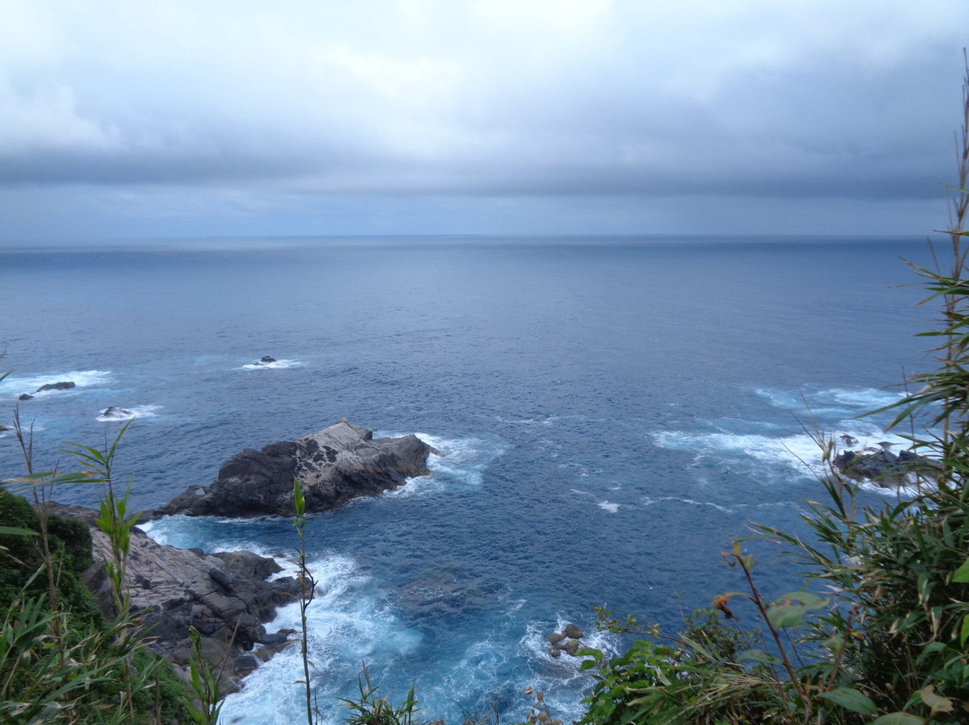 Cape Ashizuri-土佐清水市必去景点