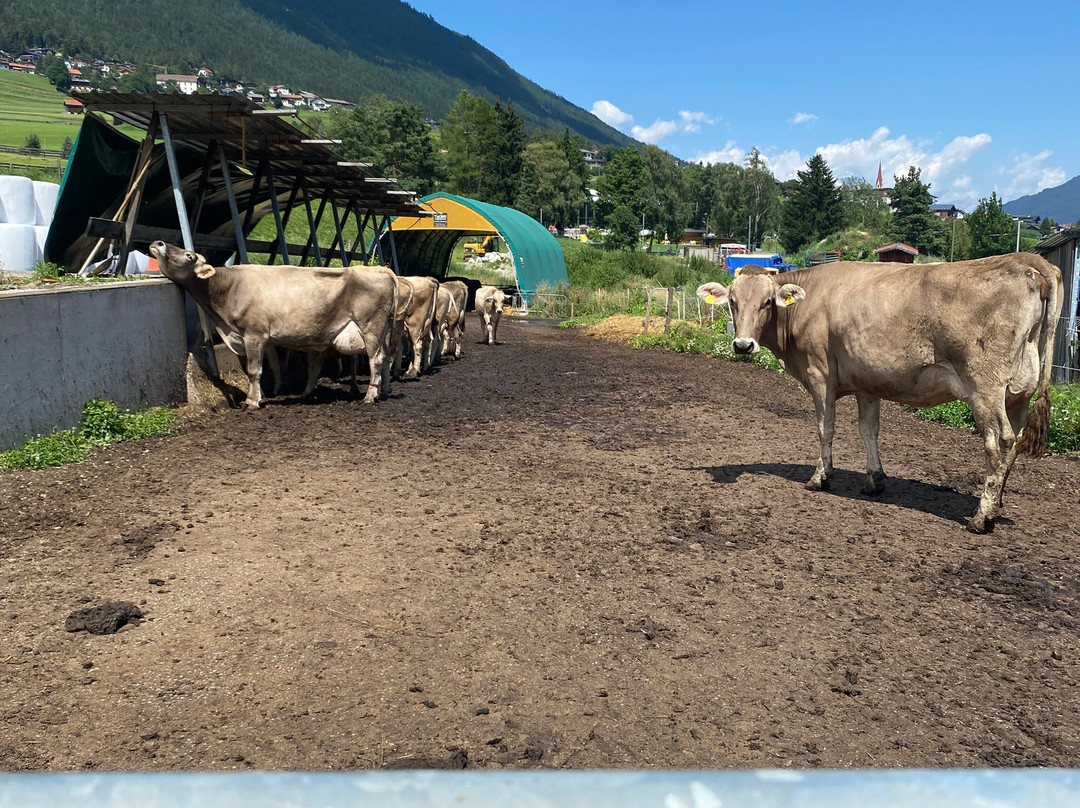 Pension Grubenhof主图