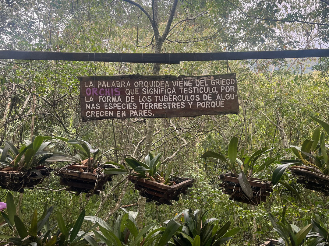 Agro Parque Sabio Mutis景点图片