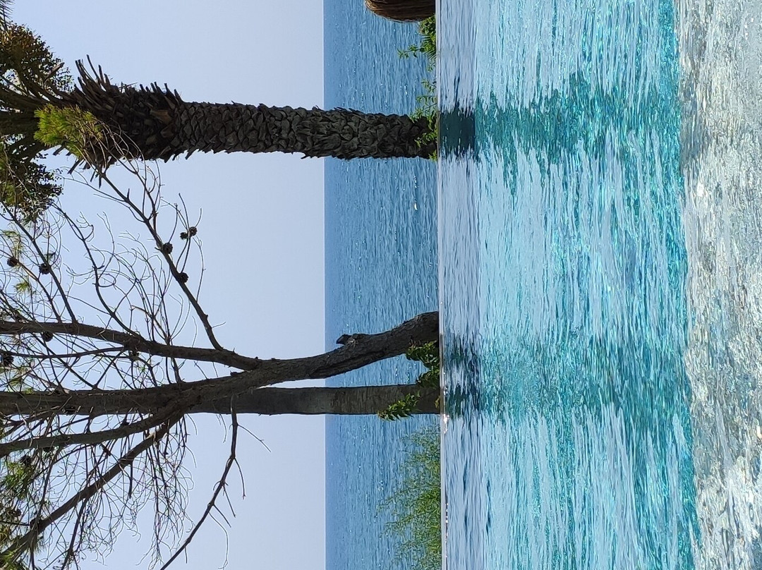 Elysium Garden主图