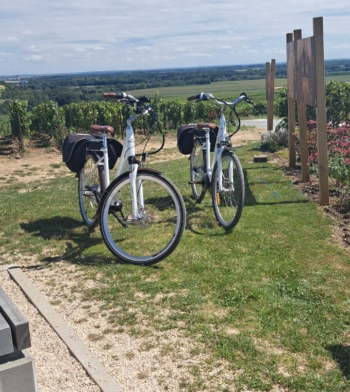 Pedal 'n' Pop景点图片