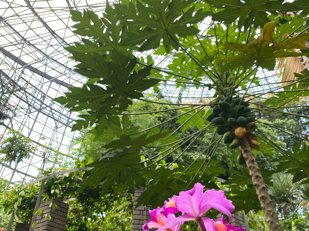 Odawara Flower Garden-小田原市必去景点