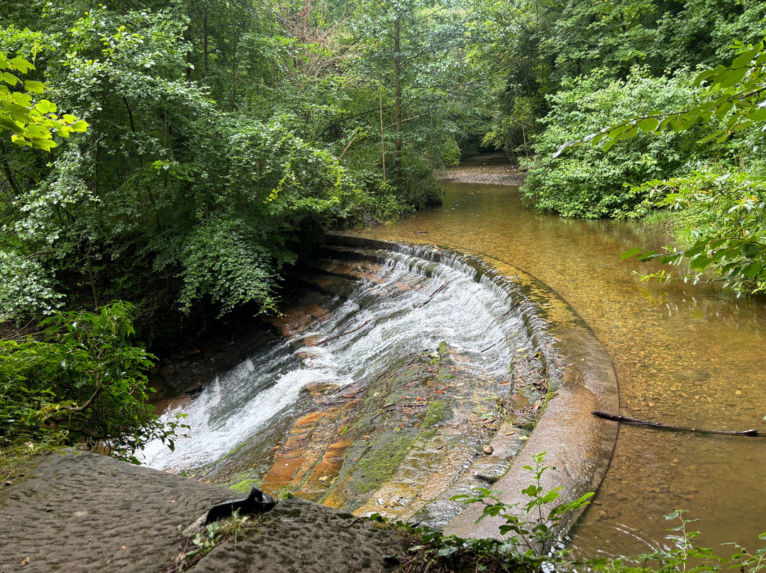 Nant Mill Country Park景点图片