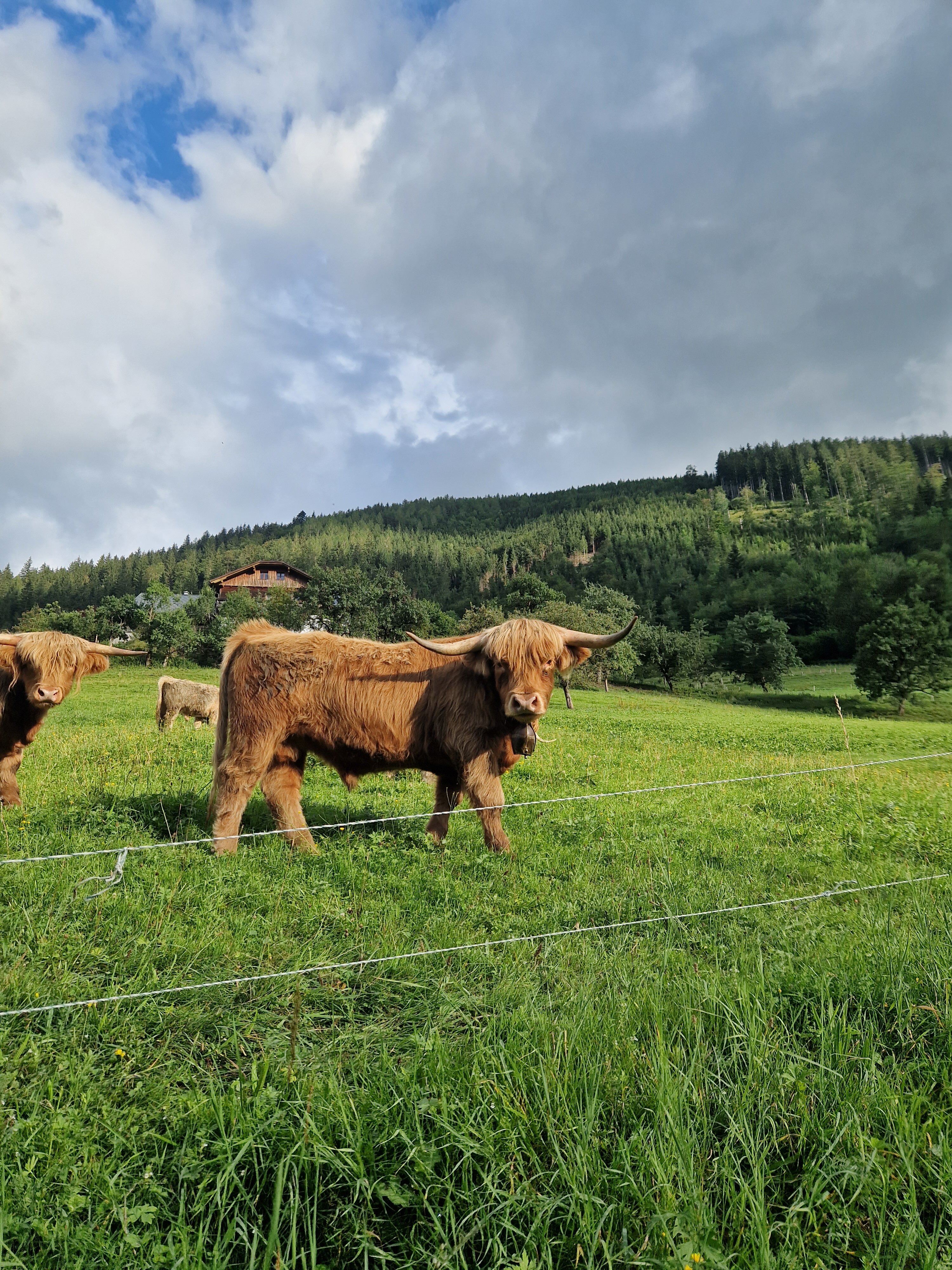 Lacken Biobauernhof-官方