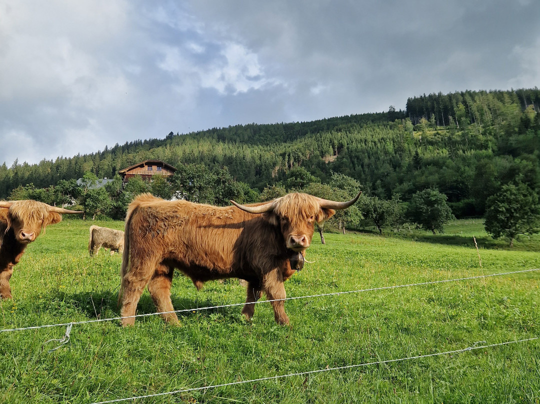 Palfau酒店住宿-Lacken Biobauernhof