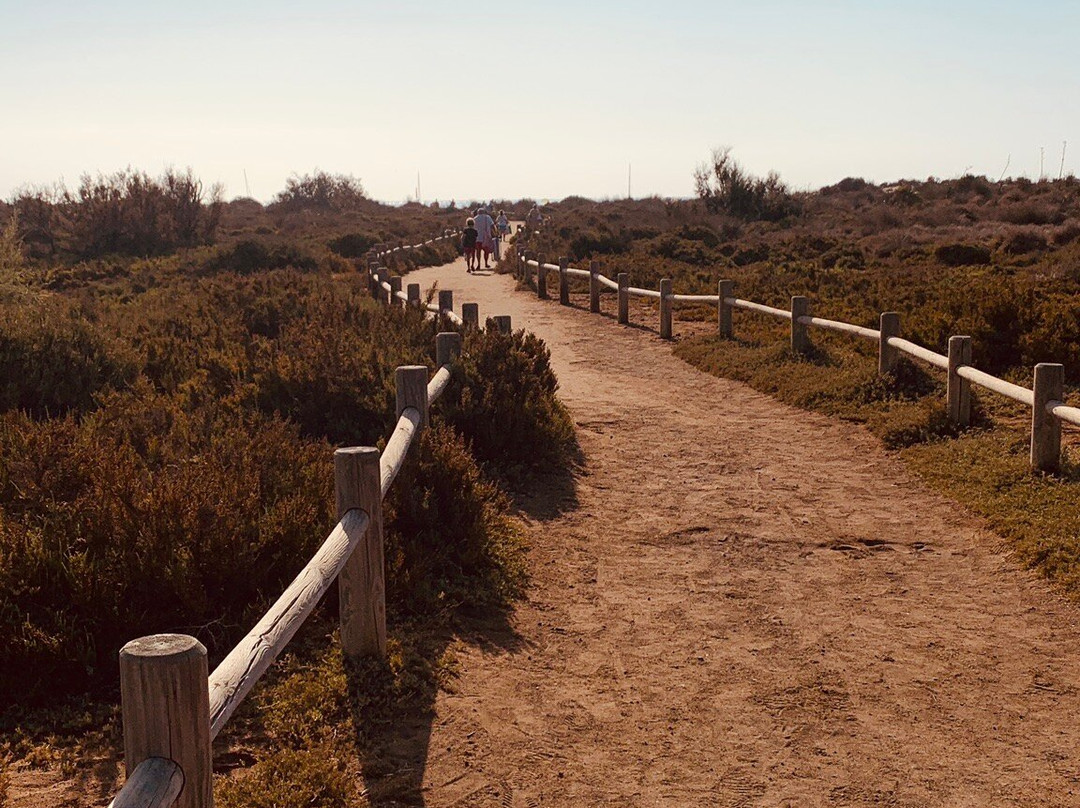 Playa de los Genoveses景点图片
