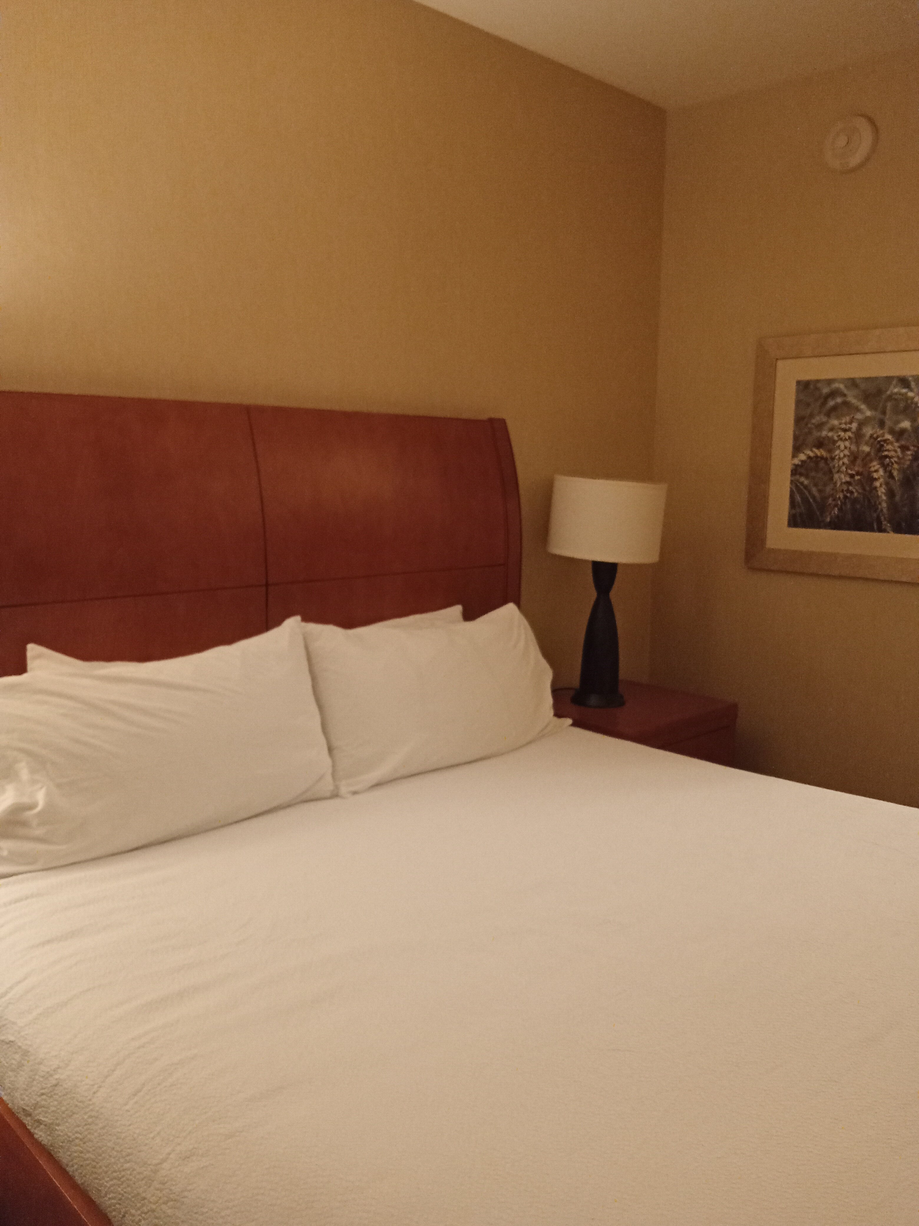 Hilton Garden Inn Cedar Falls-客卧