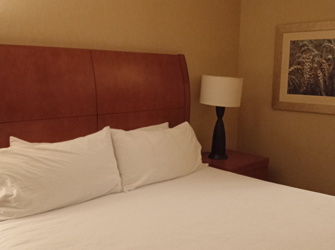 Hilton Garden Inn Cedar Falls主图