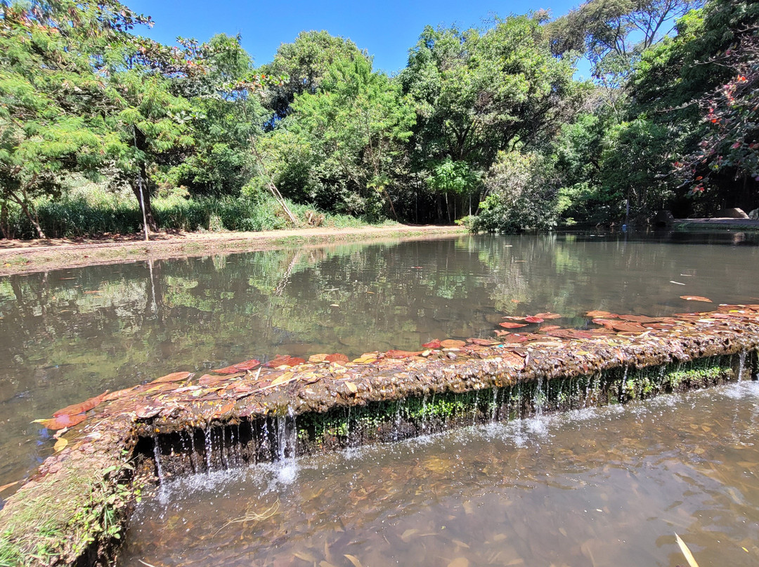 Bosque dos Buritis-戈亚尼亚必去景点