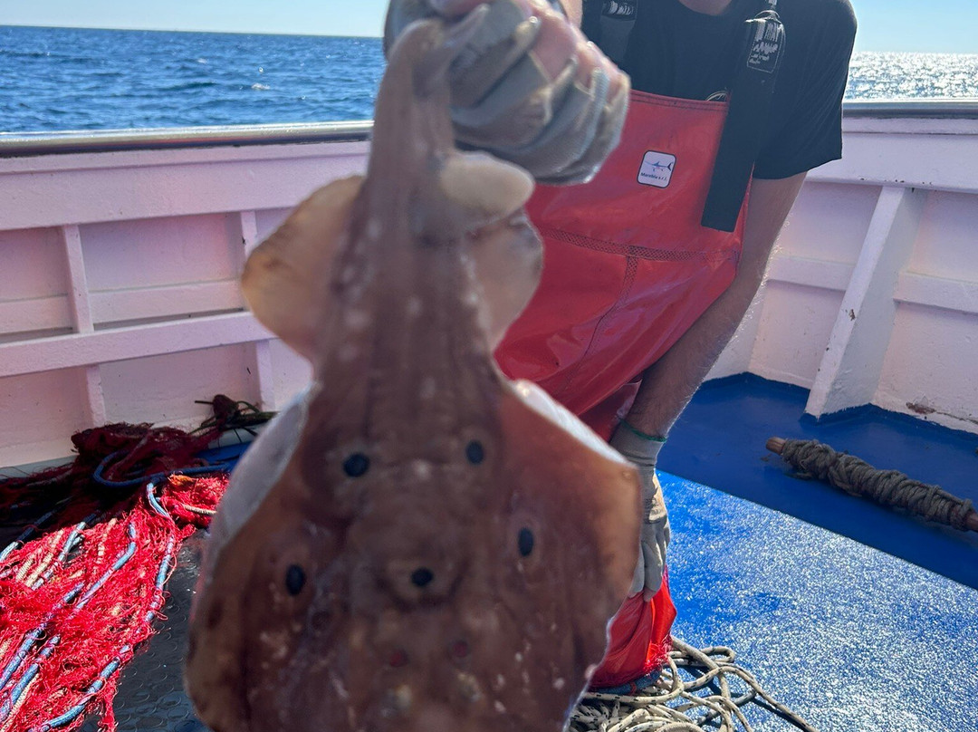 Pescaturismo Su Lo-La Caletta必去景点