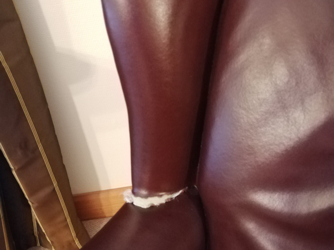 巴林纳酒店主图