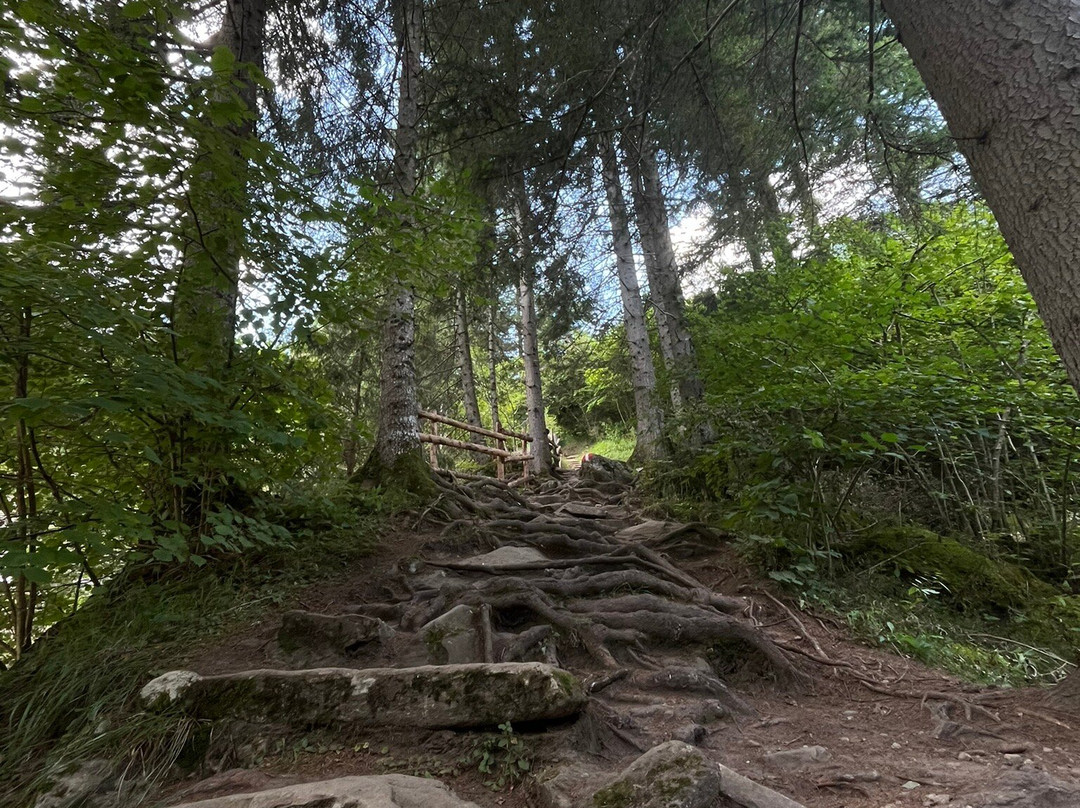 Gößfälle景点图片