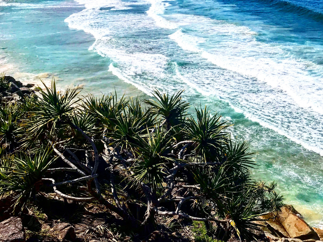 South West Rocks Dive Centre-西南岩必去景点