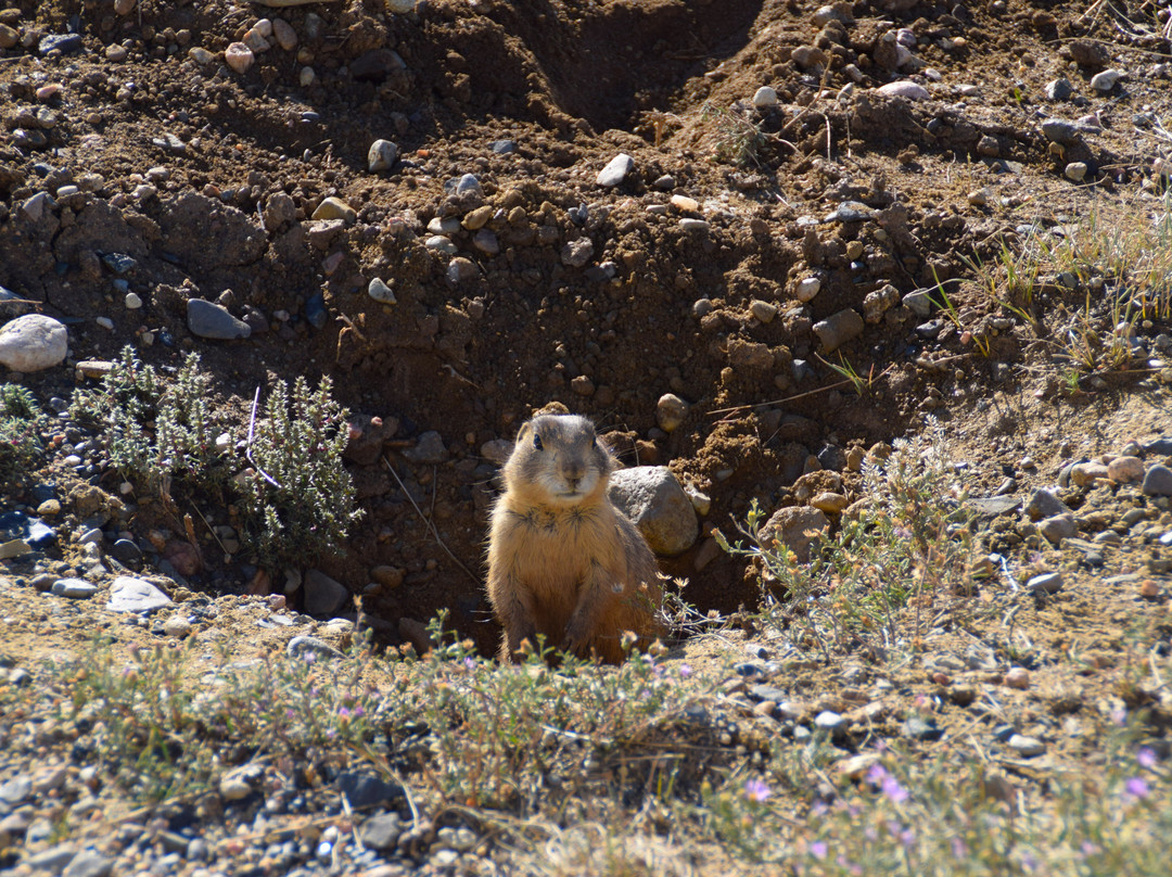Arapaho National Wildlife Refuge景点图片