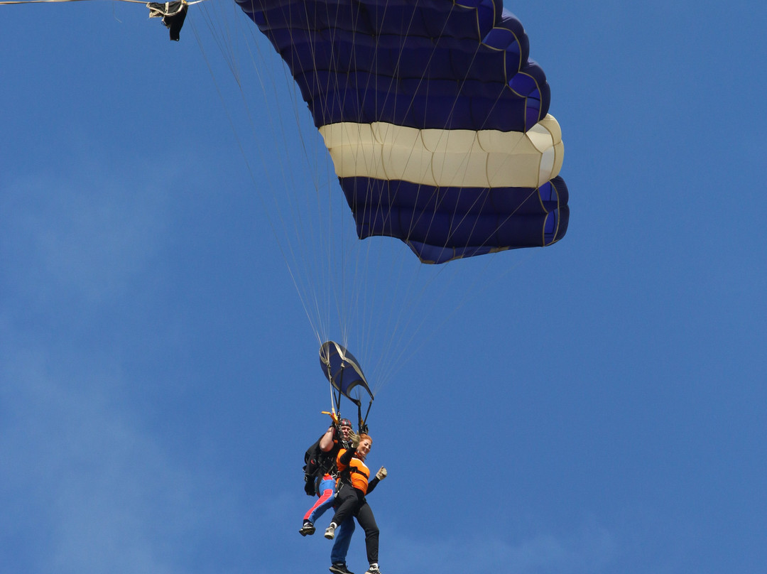 Skydive Hinton景点图片