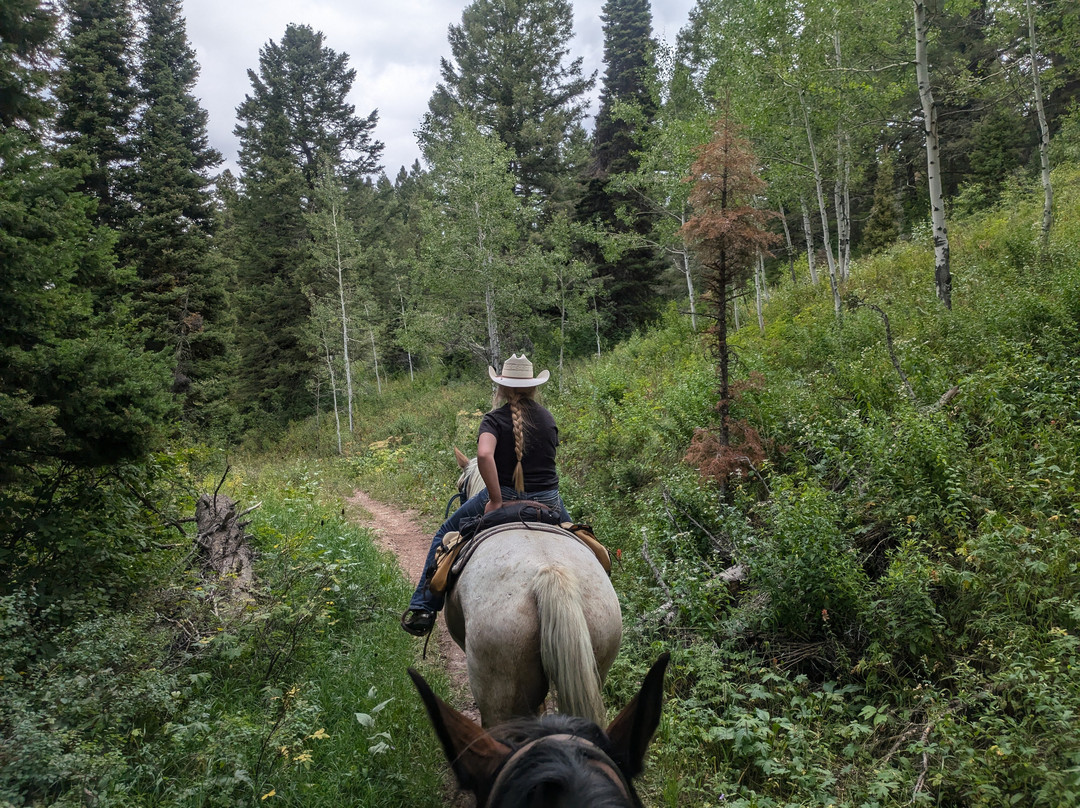 Willow Creek Horseback Rides-杰克逊必去景点