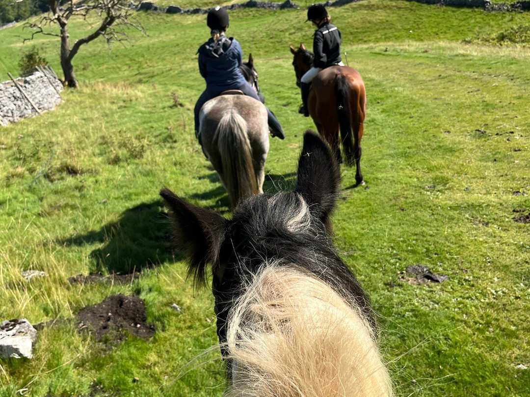 Kilnsey Trekking & Riding Centre景点图片