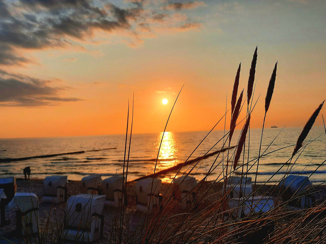 StrandResort Markgrafenheide主图