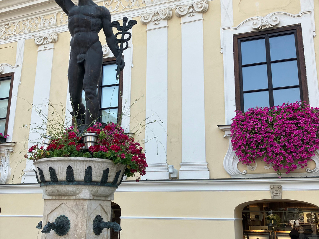 Bauernhof Wolf-Hof主图