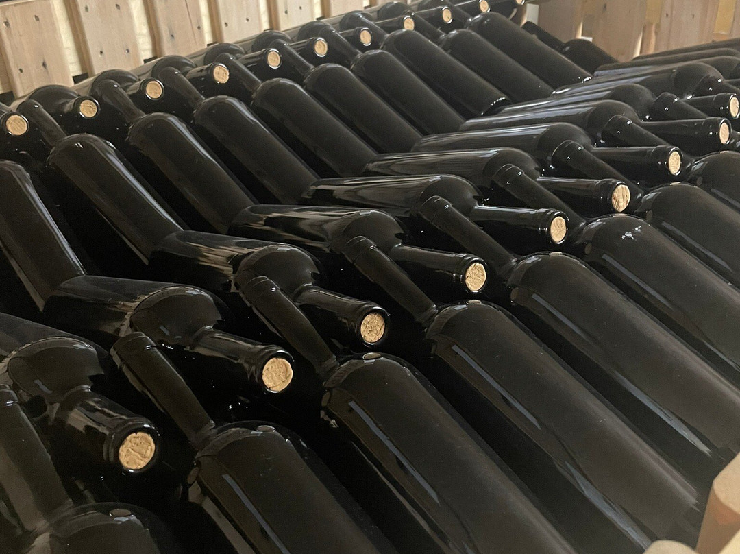 Planeta, Tenuta Buonivini - Noto景点图片