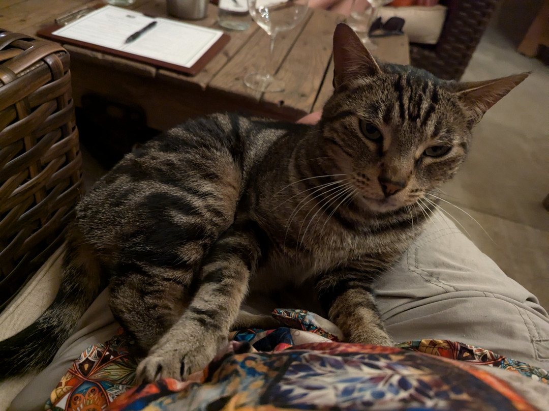 Valet of the Moon Wine Tours-索诺玛必去景点