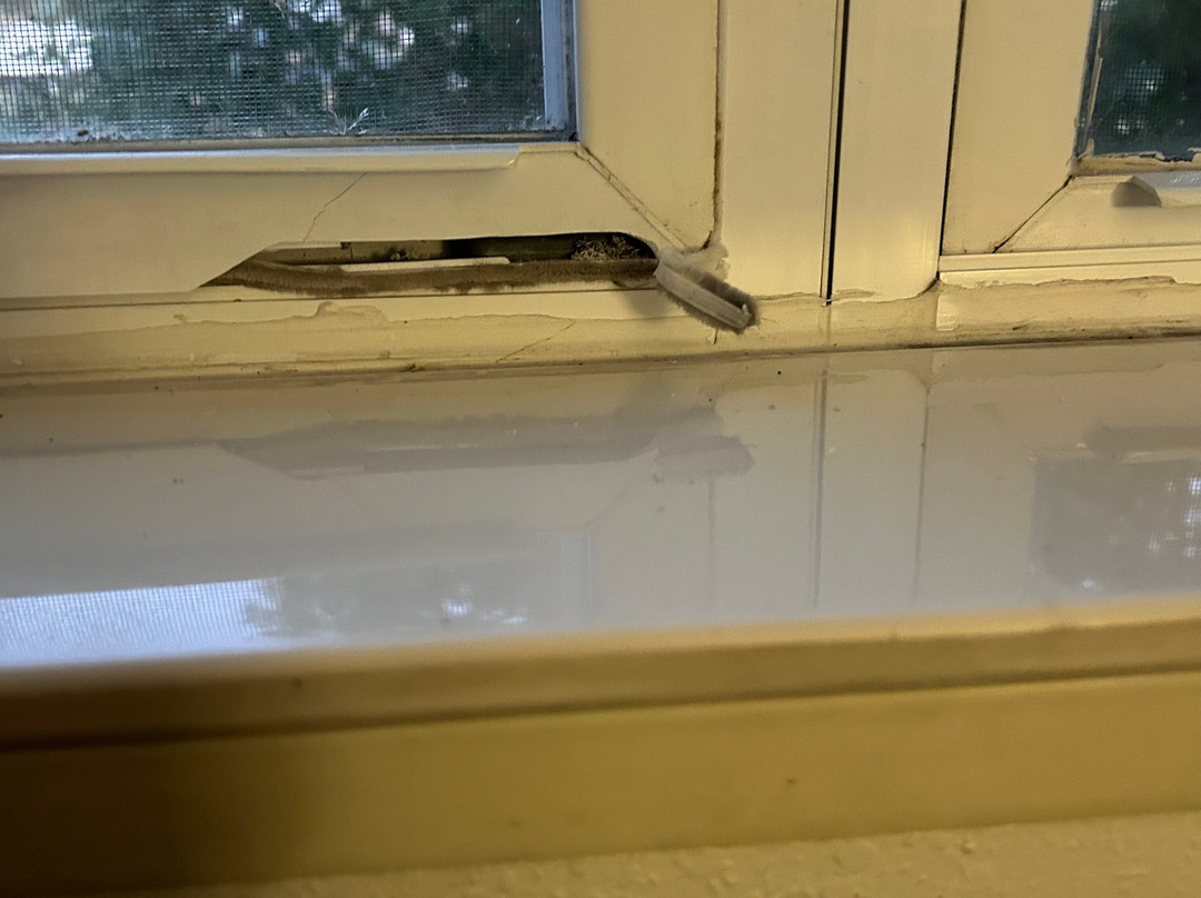 Residence Inn by Marriott Evansville East主图