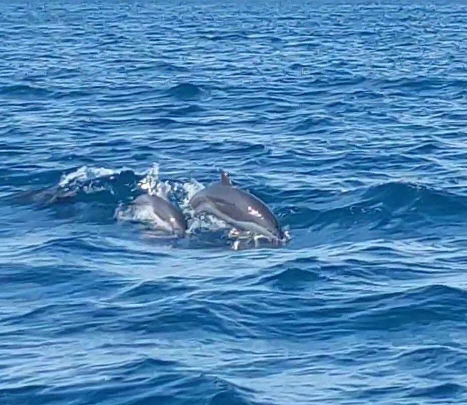 Bleue Evasion Martinique-Trois-Ilets必去景点