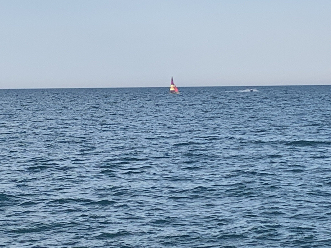 Dawes Park-埃文斯顿必去景点