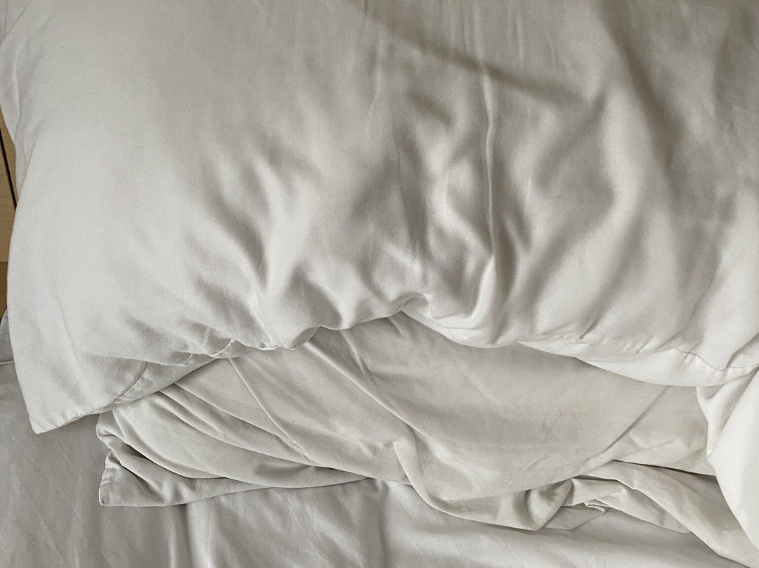 City Express By Marriott León主图