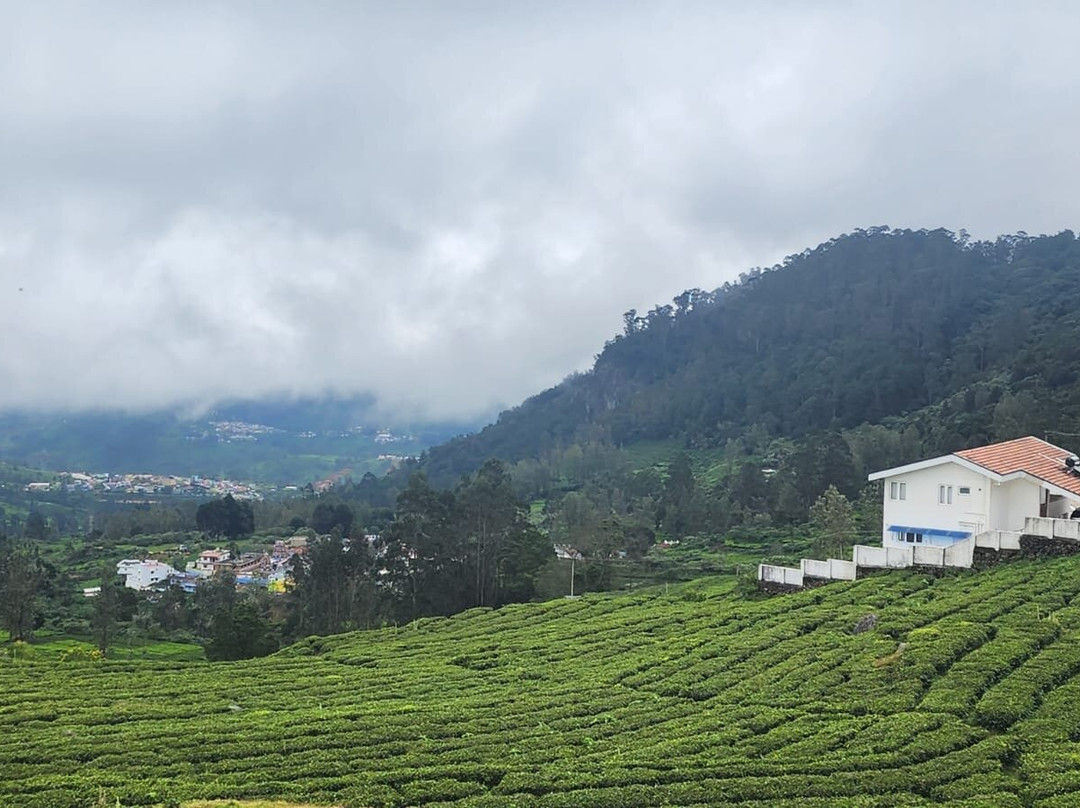 Lynfields Leisure主图