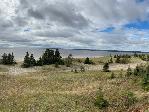 Parc Nature de Pointe-aux-Outardes-Pointe-aux-Outardes必去景点