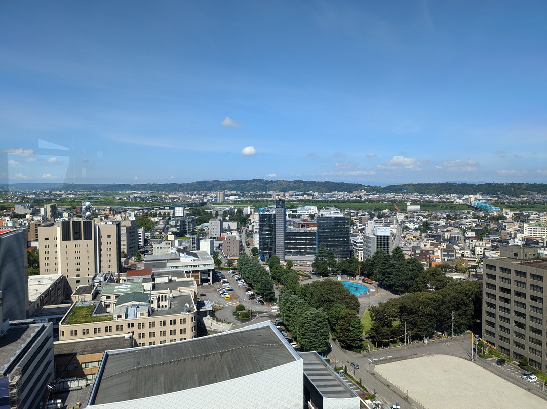Toyama City Office View Tower景点图片