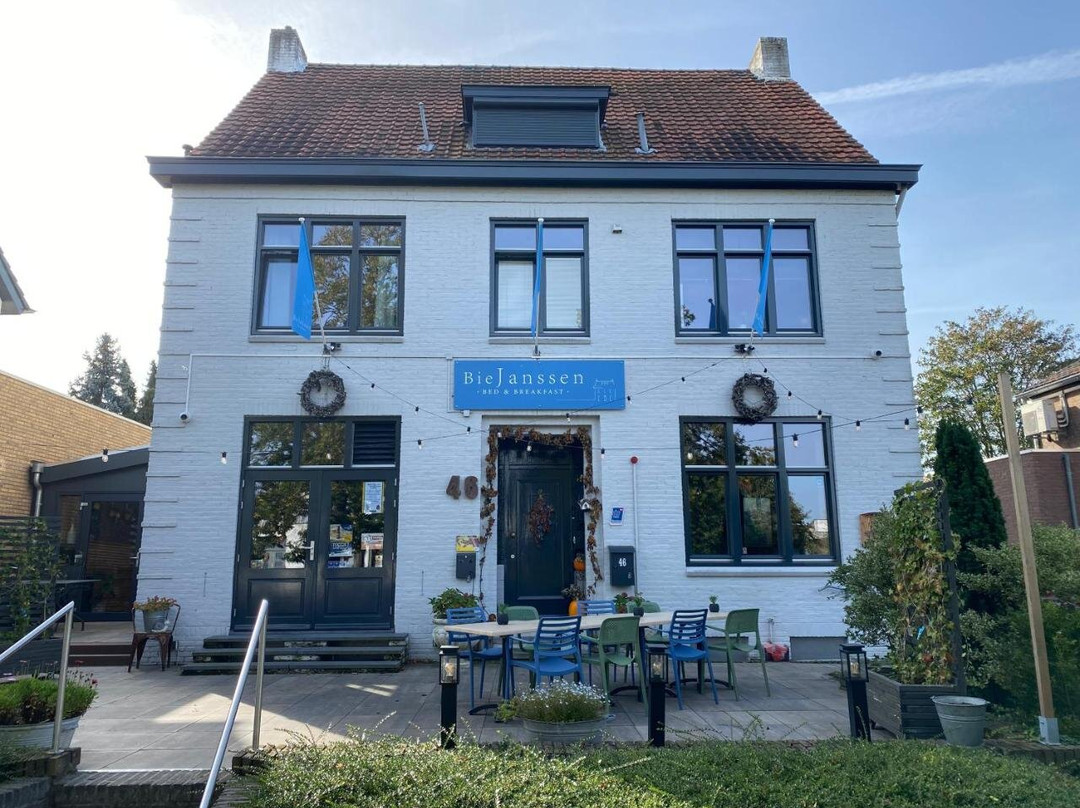 B&B Bie Janssen主图