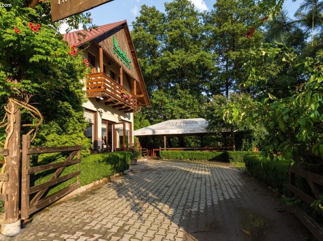 Pensiunea Vandor主图