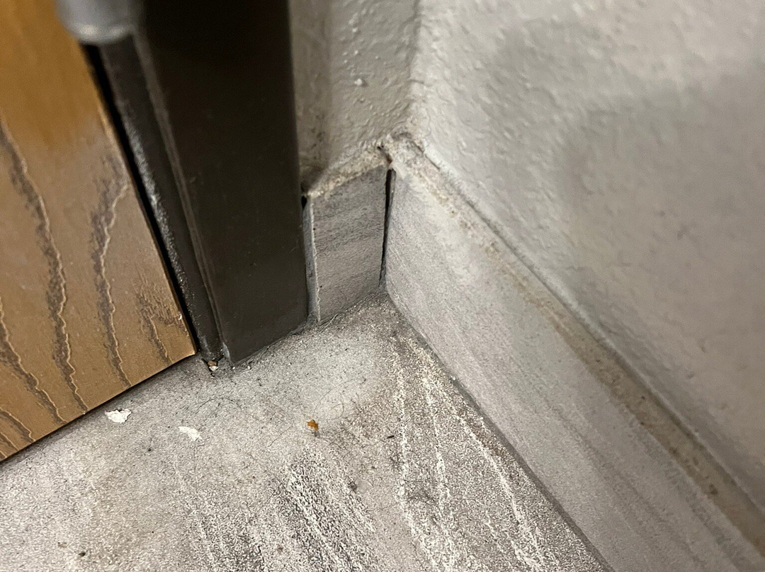 Best Western Plus Flint Airport Inn & Suites主图